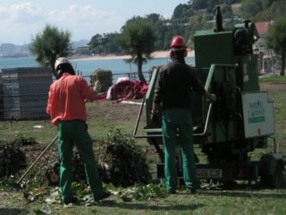 JARDINERIA (34)